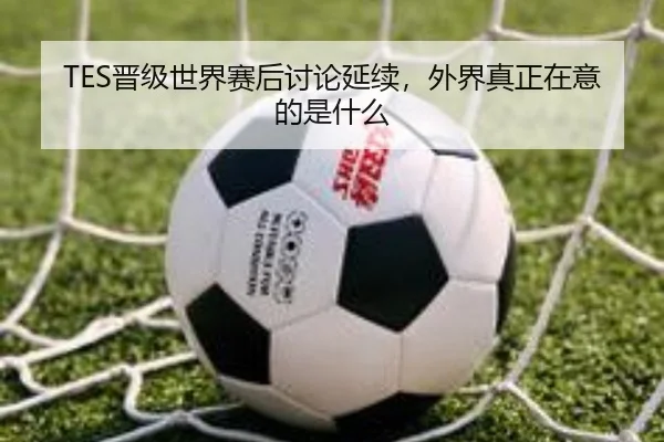 TES晋级世界赛后讨论延续，外界真正在意的是什么